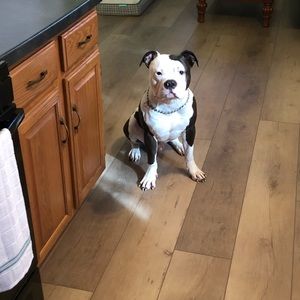 Meet your Posher, Richard